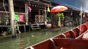 Kenzie checks out the market, and meets new friends.