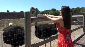 Summer Renee Central Cali Part 1